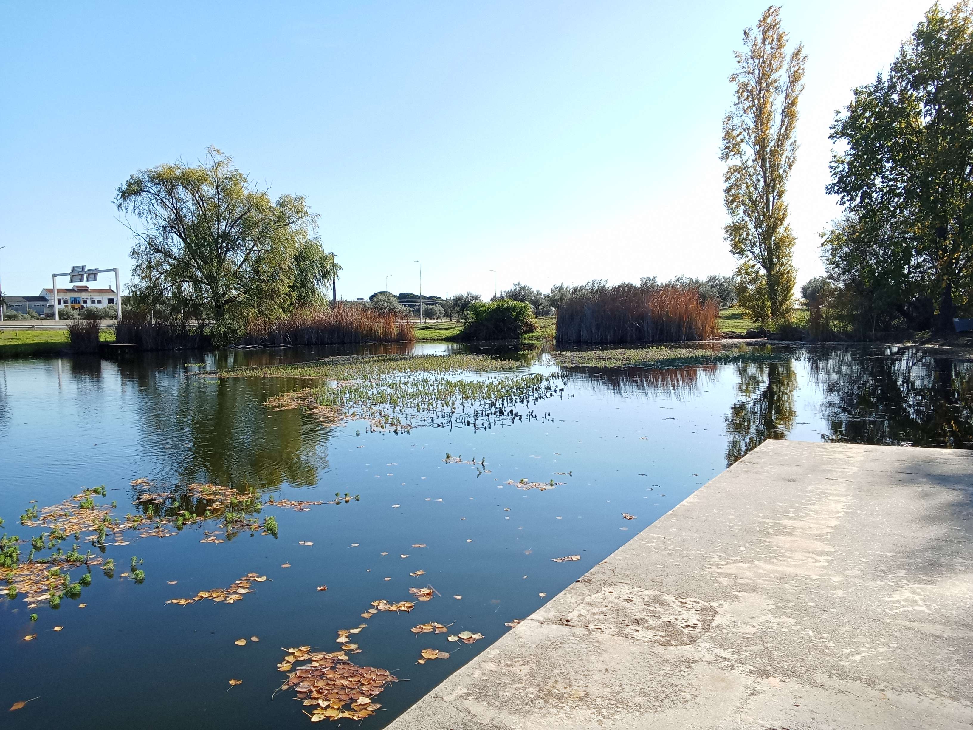lakes are pog because they reflect the sky so you get more sky per sky to look at. also fun fact i have done a fortnite dance on a small pier on this lake, said pier is on the left in the shrubs!